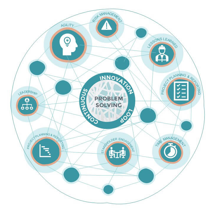 The core management skills of the project manager include agility, risk management, lessons learned, leadership, project planning and reporting, stakeholder engagement and time management. In addition to these, problem solving is central to all we do.